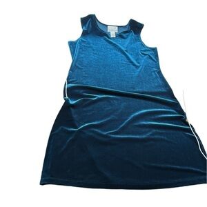 Elegant Queen Blue Sleeveless Stretch‎ Velvet Dress by Susan Graver